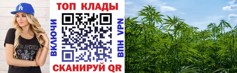 Виды наркотиков купить Жердевка КОКАИН  АМФ  Канабис  ГАШИШ  Бутират  A-PVP 