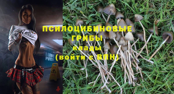 мет Гусиноозёрск
