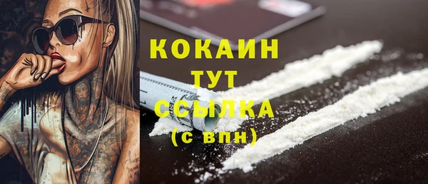 стафф Гусь-Хрустальный