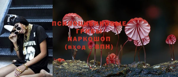 мет Гусиноозёрск
