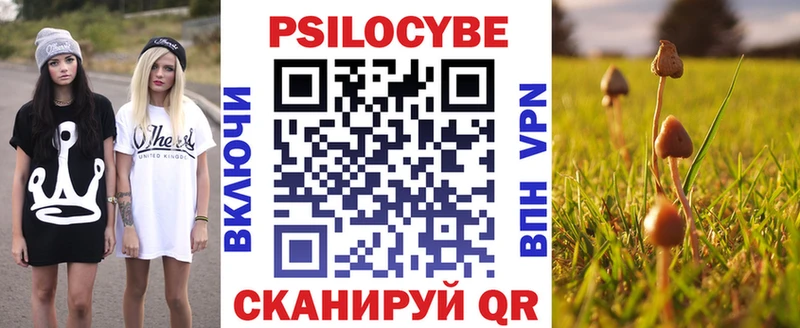Псилоцибиновые грибы мухоморы  Жердевка 